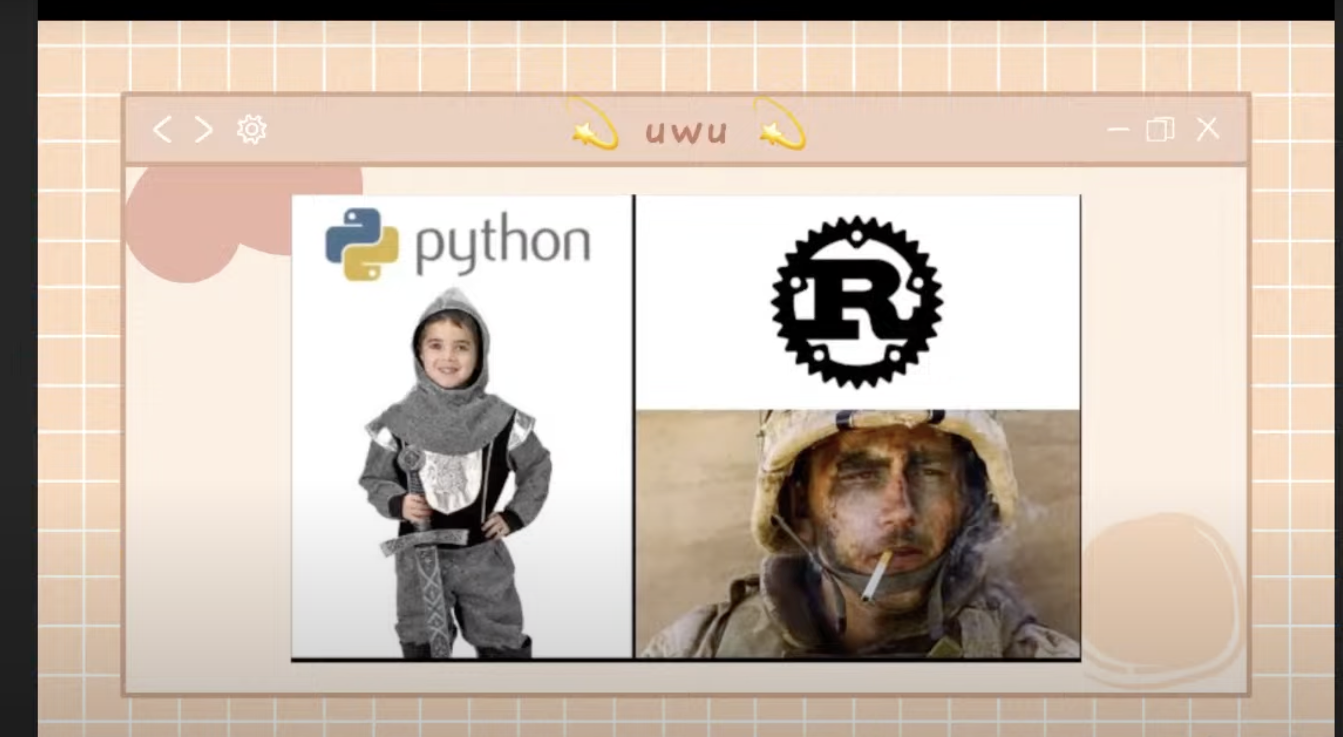 Meme tagged meme, programming